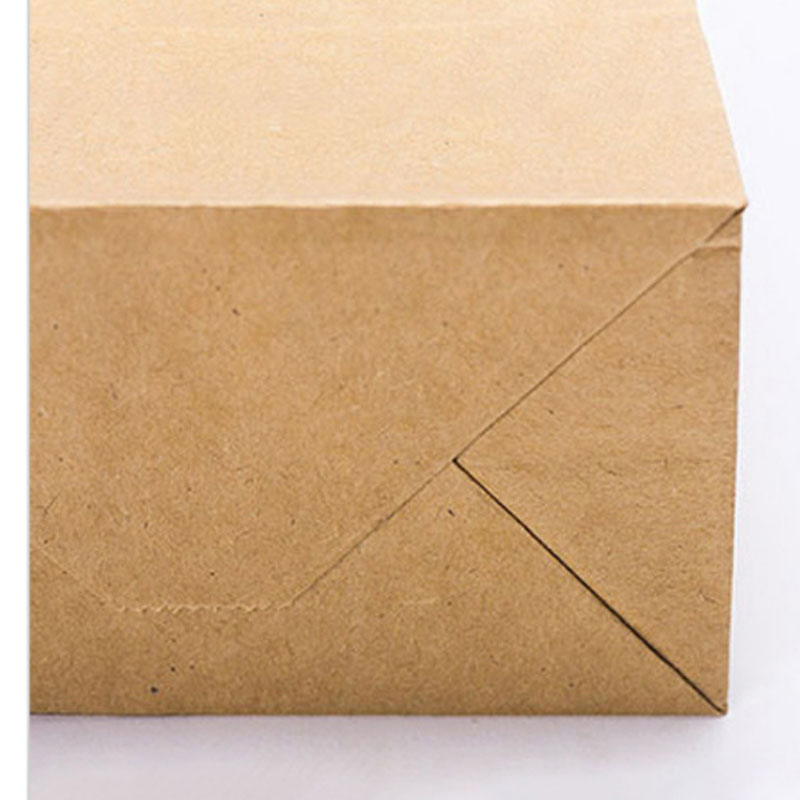 Structure and component detail for brown kraft carrier bags with paper handles