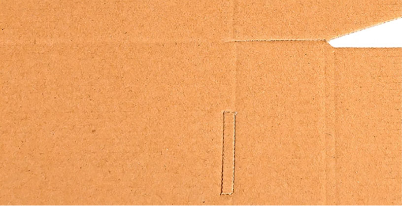 Structure and component detail for kraft pizza boxes with monochrome food graphics