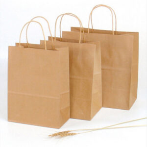 Brown Kraft Carrier Bags with Paper Handles