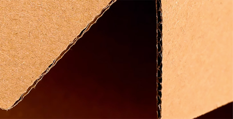 Structure and component detail for kraft pizza boxes with monochrome food graphics