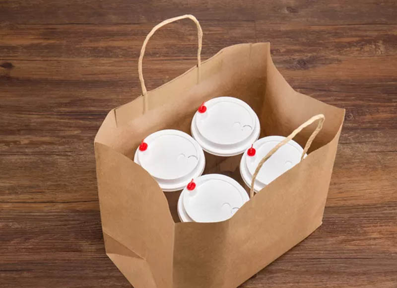 Natural Kraft Shopping Bags with Twisted Handles