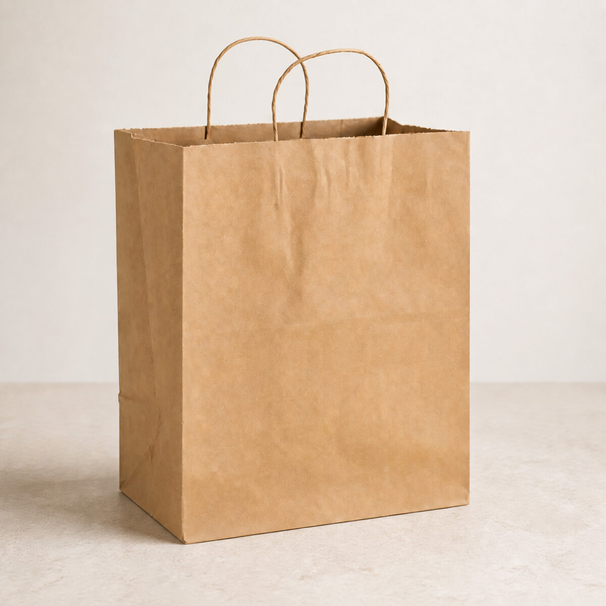 Natural Kraft Shopping Bags with Twisted Handles Plain natural kraft shopping bag with two twisted paper handles